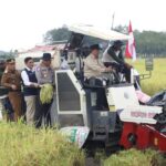 Wakil Gubernur Kalteng, Edy Pratowo laksanakan panen padi menggunakan Combine Harvester di Lahan OPLA, Ds. Tahai Jaya, Kec. Maliku, Pulang Pisau (Selasa,10/2/2026). Foto : MMC