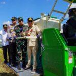 Panen Raya Padi di Desa Terusan Mulya, Kecamatan Bataguh, Kabupaten Kapuas. (Foto : Ist)